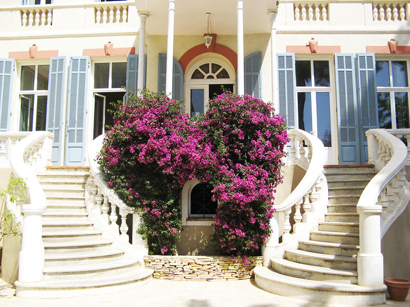 Le Poseidon Hotel ลาแซน-ซูร์-แมร์ ภายนอก รูปภาพ